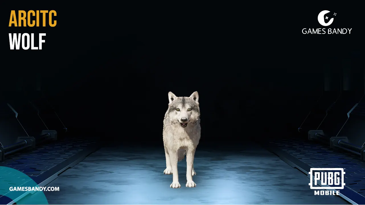 Arcitc-Wolf
