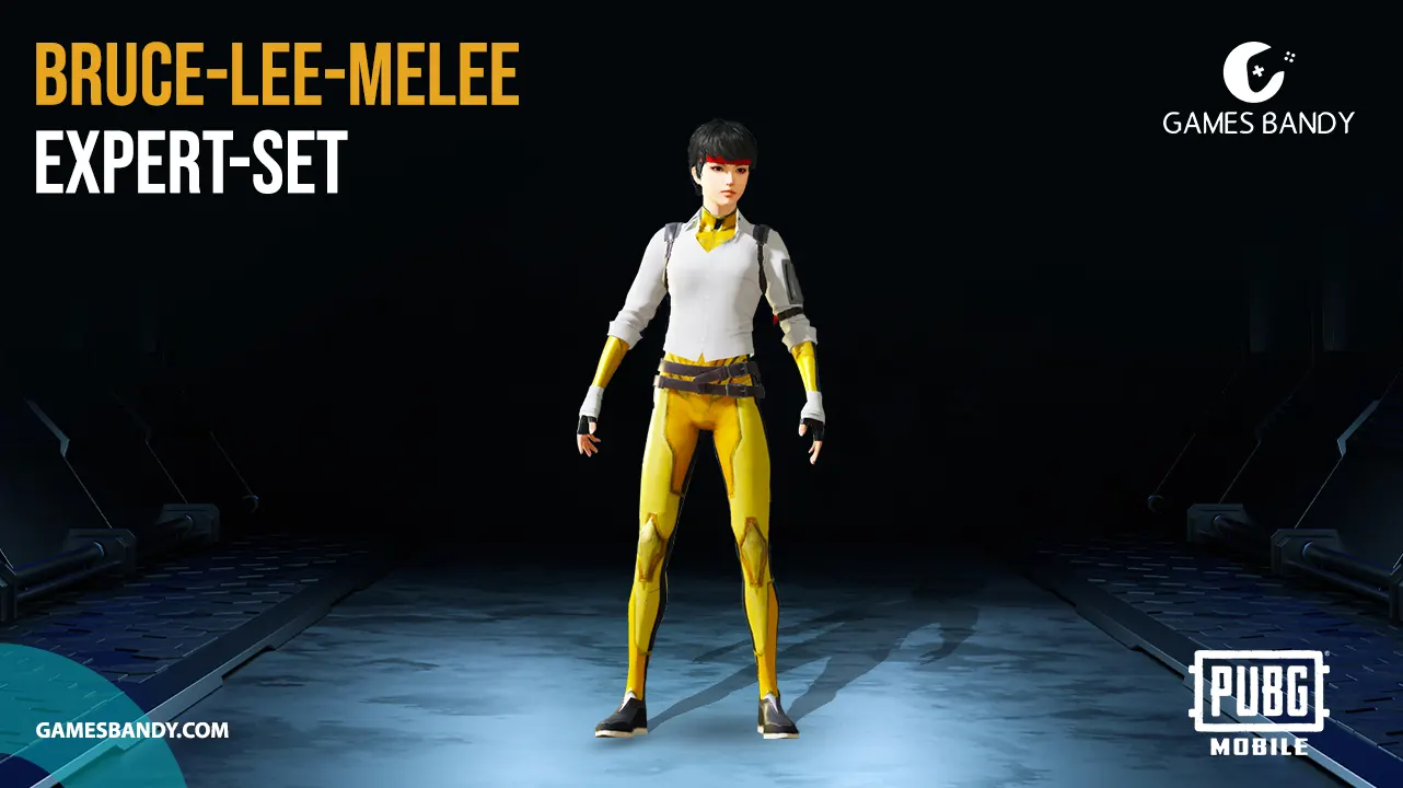 Bruce Lee Melee Expert Set